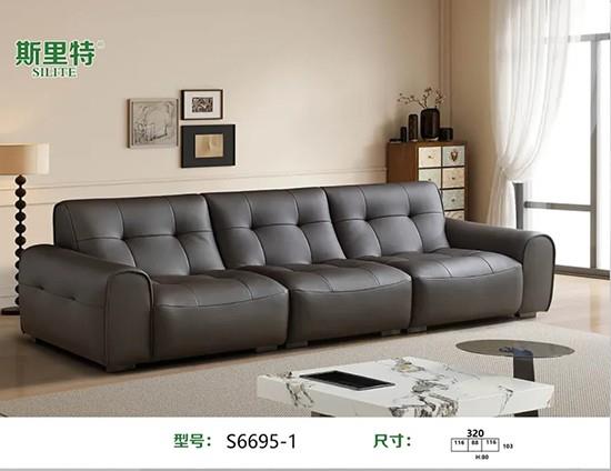 S6695-1